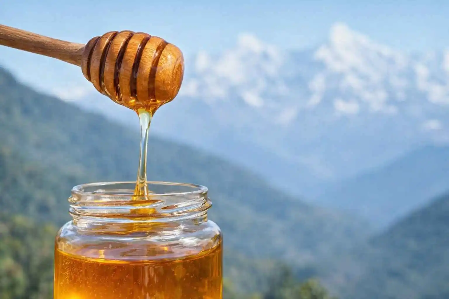 Himalayan Beekeeper