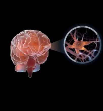 Neural Density Comparison
